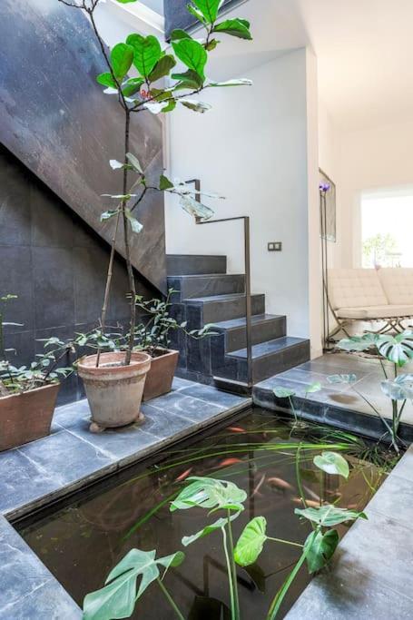 Elegante Duplex Centro Sevilla Matahacas 1 エクステリア 写真